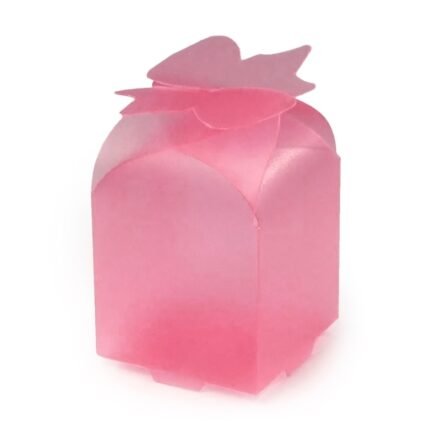 Estuches eco mariposa fucsia 4