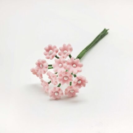 Margarita rosa botón blanco